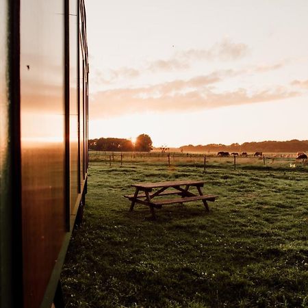 Slapen Tussen De Paarden Hotel Essen Екстериор снимка