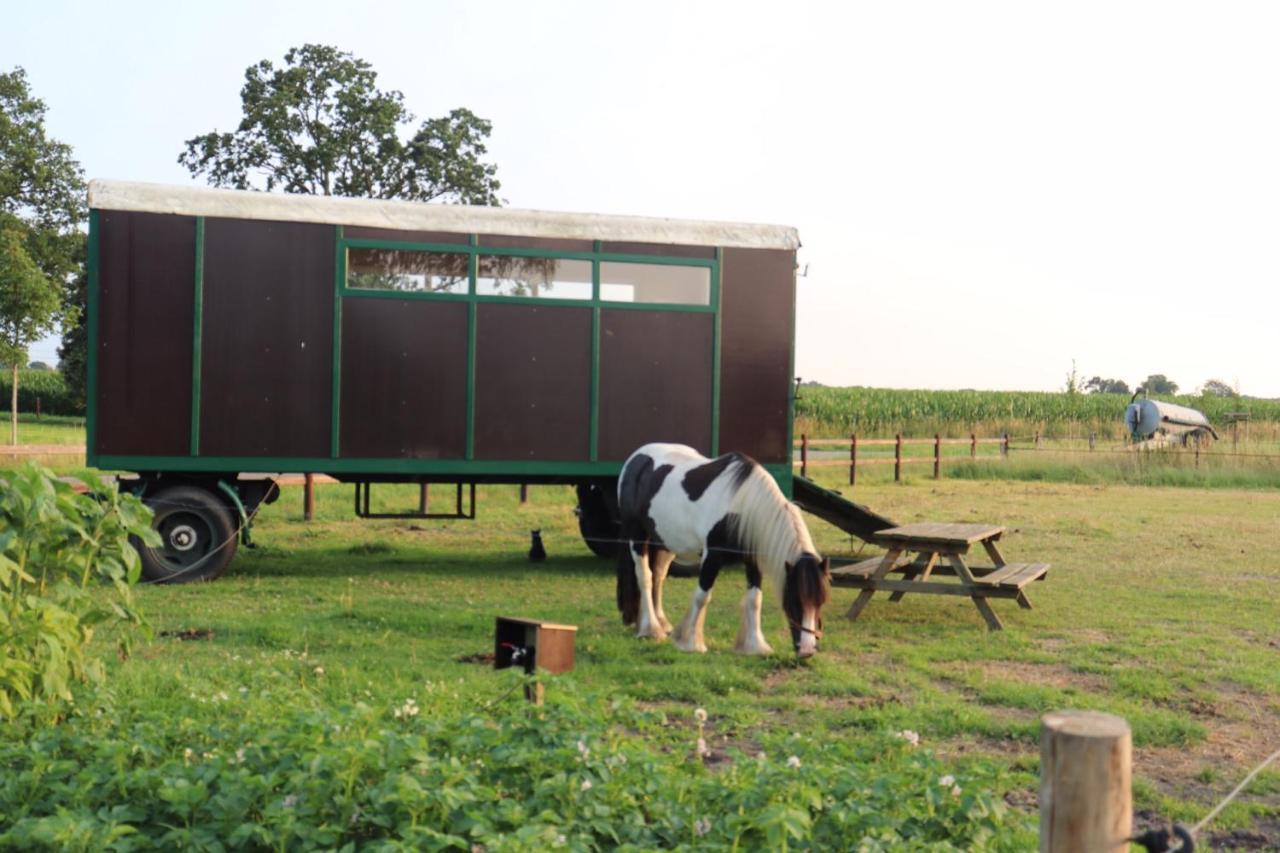 Slapen Tussen De Paarden Hotel Essen Екстериор снимка